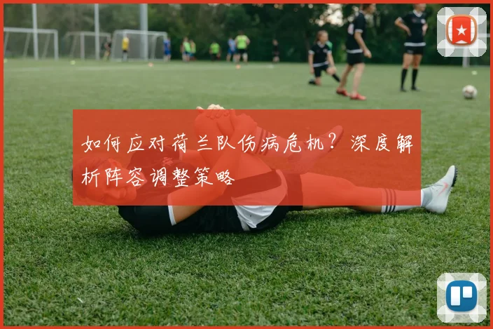 如何应对荷兰队伤病危机?深度解析阵容调整策略