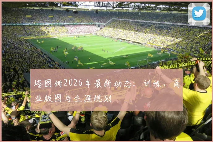 塔图姆2026年最新动态：训练、商业版图与生涯规划
