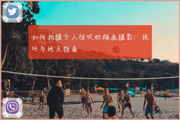 如何拍摄令人惊叹的雄鹿摄影：技巧与地点指南