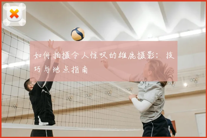 如何拍摄令人惊叹的雄鹿摄影:技巧与地点指南